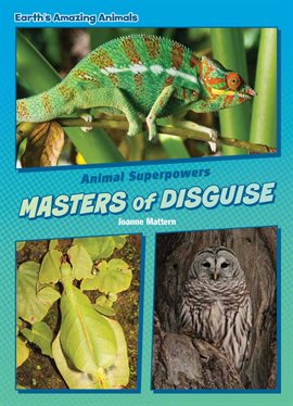 Cover image for Masters of Disguise