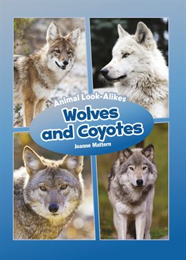 Umschlagbild für Wolves and Coyotes