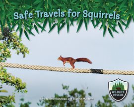 Cover image for Safe Travels for Squirrels