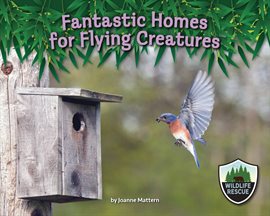 Cover image for Fantastic Homes for Flying Creatures