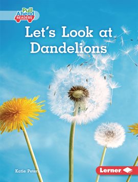 Cover image for Let's Look at Dandelions
