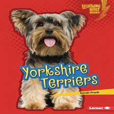 Cover image for Yorkshire Terriers