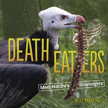 Cover image for Death Eaters