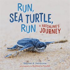 Cover image for Run, Sea Turtle, Run