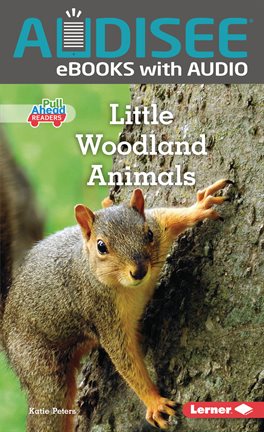 Cover image for Little Woodland Animals
