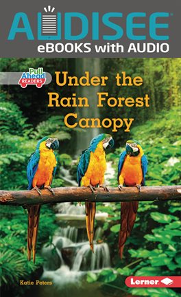 Cover image for Under the Rain Forest Canopy