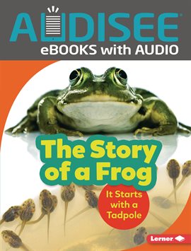 Cover image for The Story of a Frog