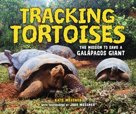 Cover image for Tracking Tortoises