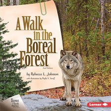 Cover image for A Walk in the Boreal Forest