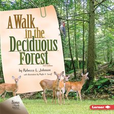 Cover image for A Walk in the Deciduous Forest