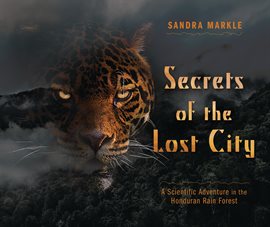 Cover image for Secrets of the Lost City