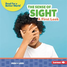 Cover image for The Sense of Sight