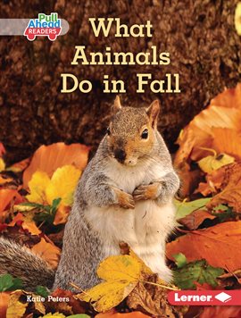 Cover image for What Animals Do in Fall
