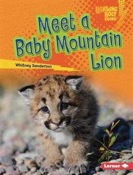Cover image for Meet a Baby Mountain Lion