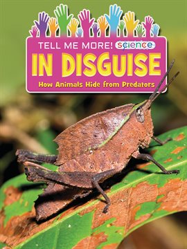 Cover image for In Disguise