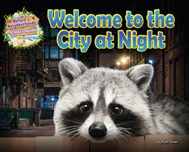 Cover image for Welcome to the City at Night