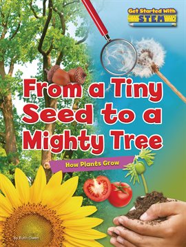 Cover image for From a Tiny Seed to a Mighty Tree