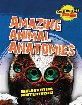 Cover image for Amazing Animal Anatomies