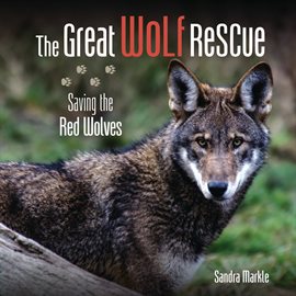 Cover image for The Great Wolf Rescue