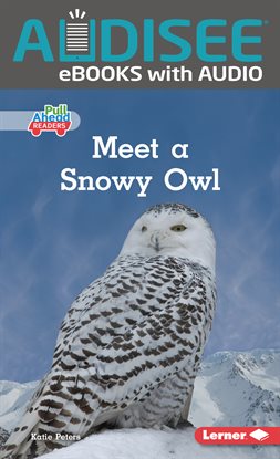 Cover image for Meet a Snowy Owl