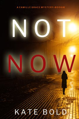 Cover image for Not Now