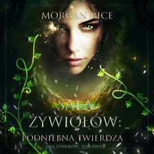 Podniebna Twierdza