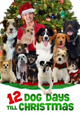 Cover image for 12 Dog Days till Christmas