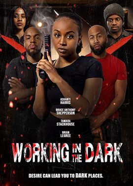 Cover image for Working in the Dark