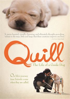 Cover image for Quill: The Life of a Guide Dog