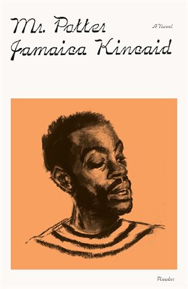 Cover image for Mr. Potter