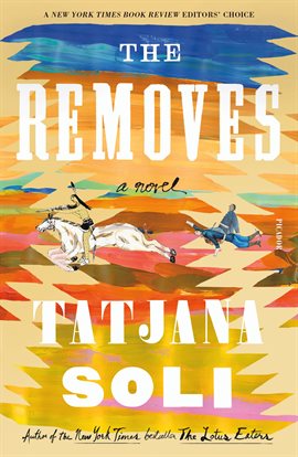 Cover image for The Removes