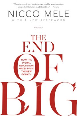 Cover image for The End of Big