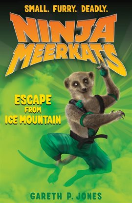 Cover image for Escape From Ice Mountain