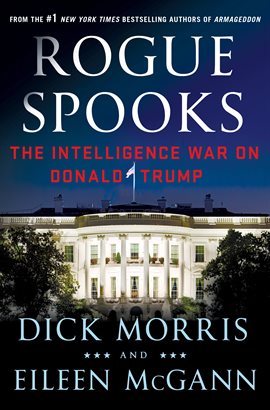 Imagen de portada para Rogue Spooks