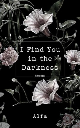 Cover image for I Find You in the Darkness