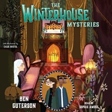 Cover image for The Winterhouse Mysteries
