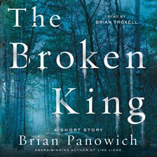 Cover image for The Broken King