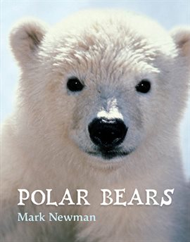 Imagen de portada para Polar Bears