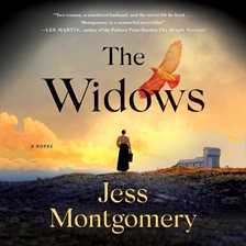 Cover image for The Widows