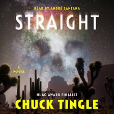 Cover image for Straight