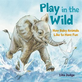 Cover image for Play in the Wild
