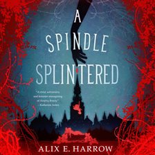 Cover image for A Spindle Splintered