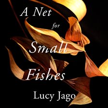 Cover image for A Net for Small Fishes
