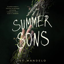Cover image for Summer Sons