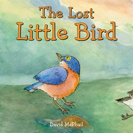 Cover image for The Lost Little Bird