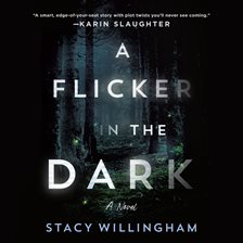 Cover image for A Flicker in the Dark