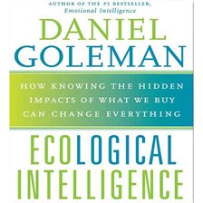 Cover image for Ecological Intelligence