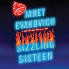 Cover image for Sizzling Sixteen