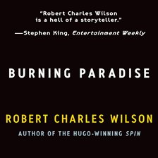 Cover image for Burning Paradise