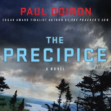 Cover image for The Precipice